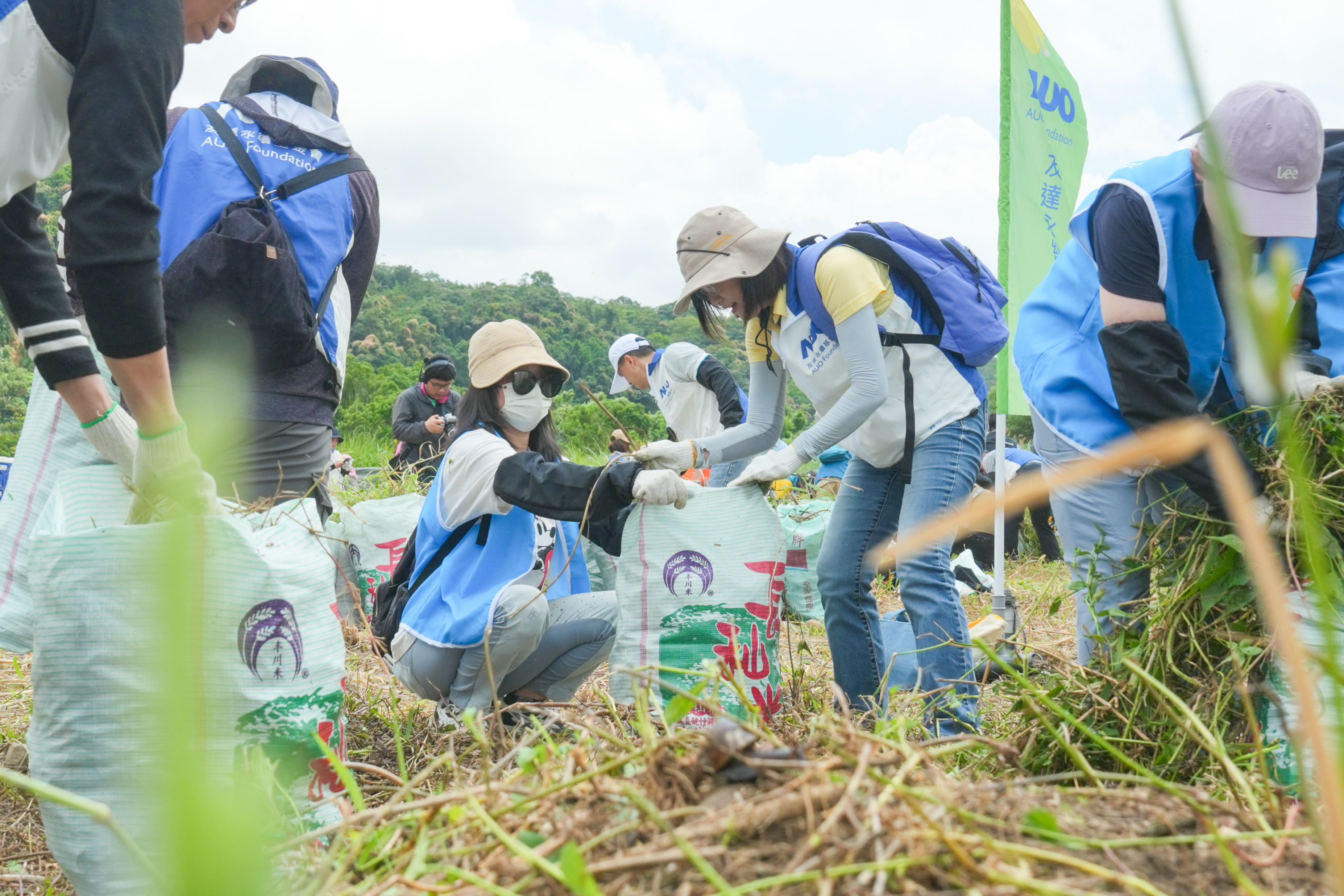 米蘭·(milantiyu)除蔓防治計畫，除了鎖定霄裡溪沿岸3.2公里移除外來入侵種小花蔓澤蘭，並進行物種與空拍調查，共記錄91科181屬239種維管束植物，顯示該區域具高度生態價值